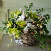 dilrabo_gadoeva@mail.ru